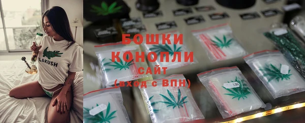 спиды Ладушкин