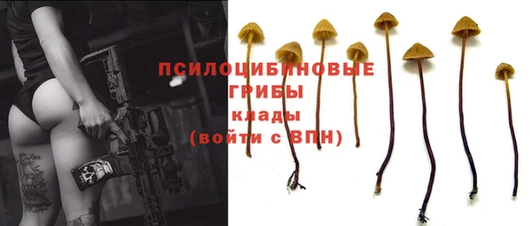 Альфа ПВП Лабытнанги
