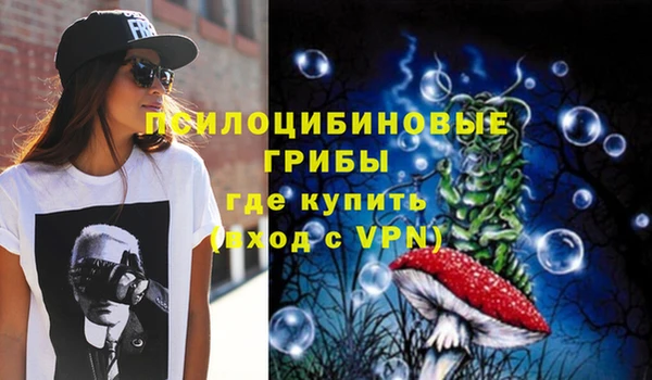 спиды Ладушкин