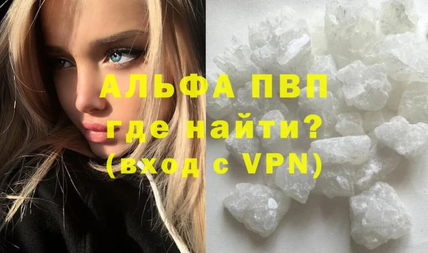 спиды Ладушкин