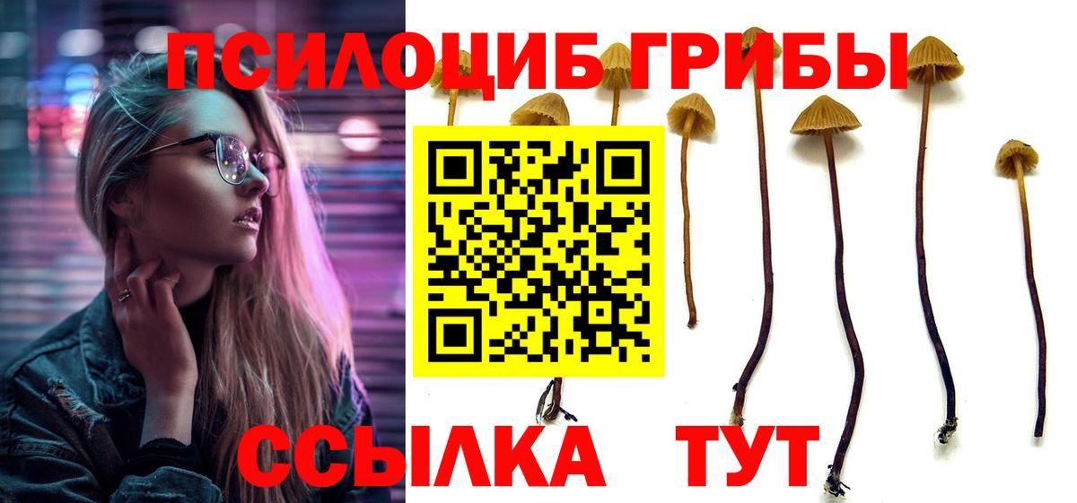 Курск  Галлюциногенные грибы Psilocybe  Вход с VPN 
