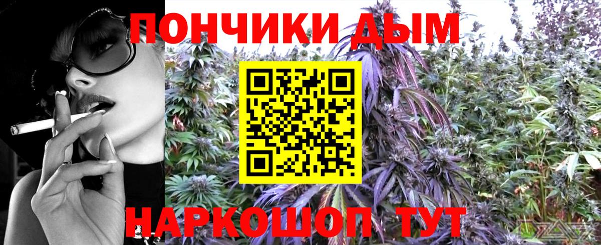 Бошки марихуана планчик  МАРИХУАНА Bruce Banner  Каннабис White Widow  Вход с VPN  Курск  Каннабис AK-47 